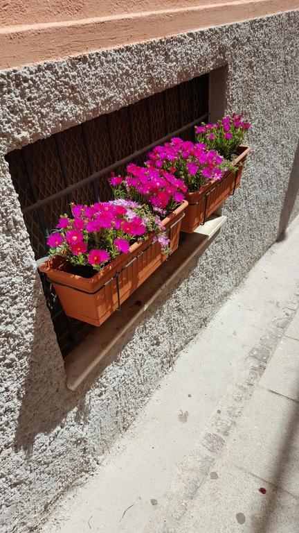 Al Sale Bed & Breakfast Cagliari Luaran gambar