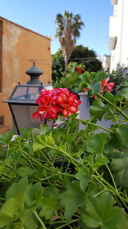 Al Sale Bed & Breakfast Cagliari Luaran gambar